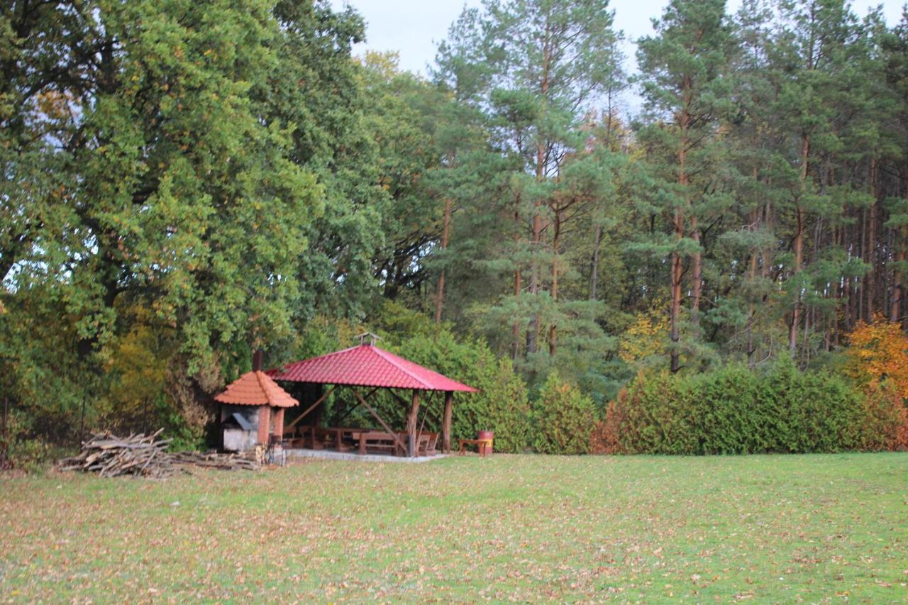 Gospodarstwo Agroturystyczne Agroletnica Swidnica  Exterior photo